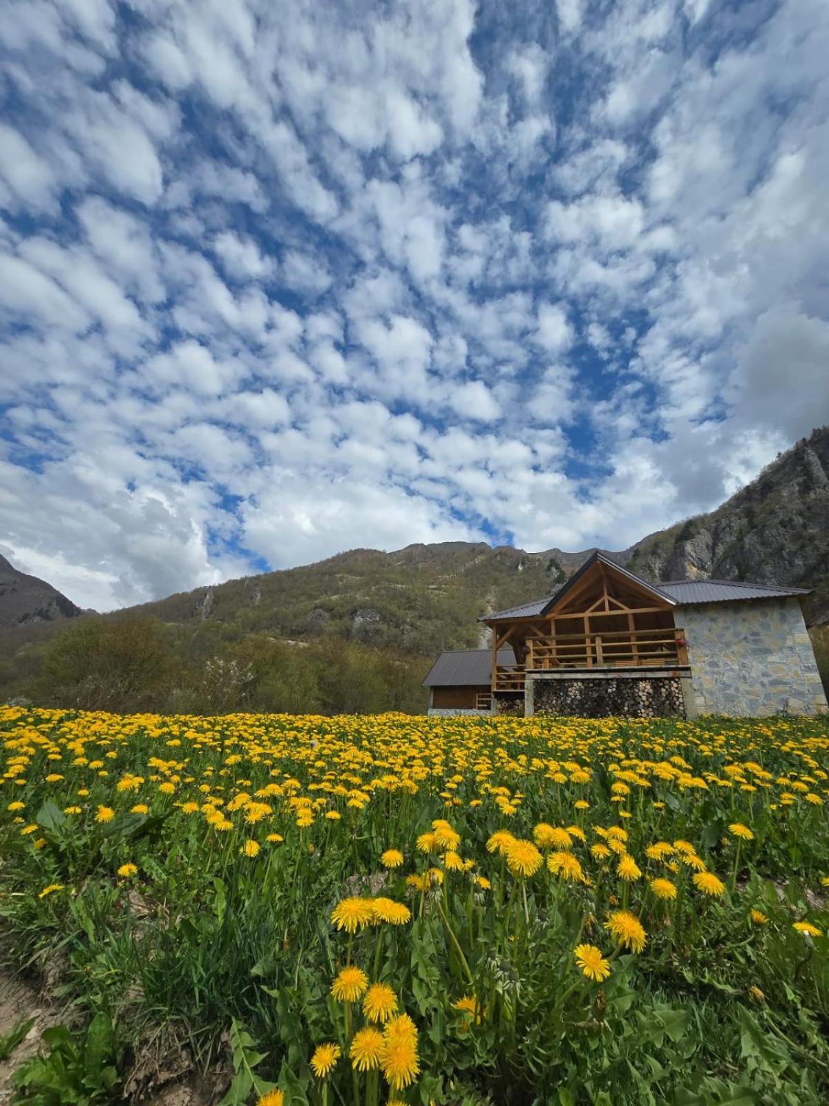 Ethno Star Bojovic Guest House Gusinje Exterior photo